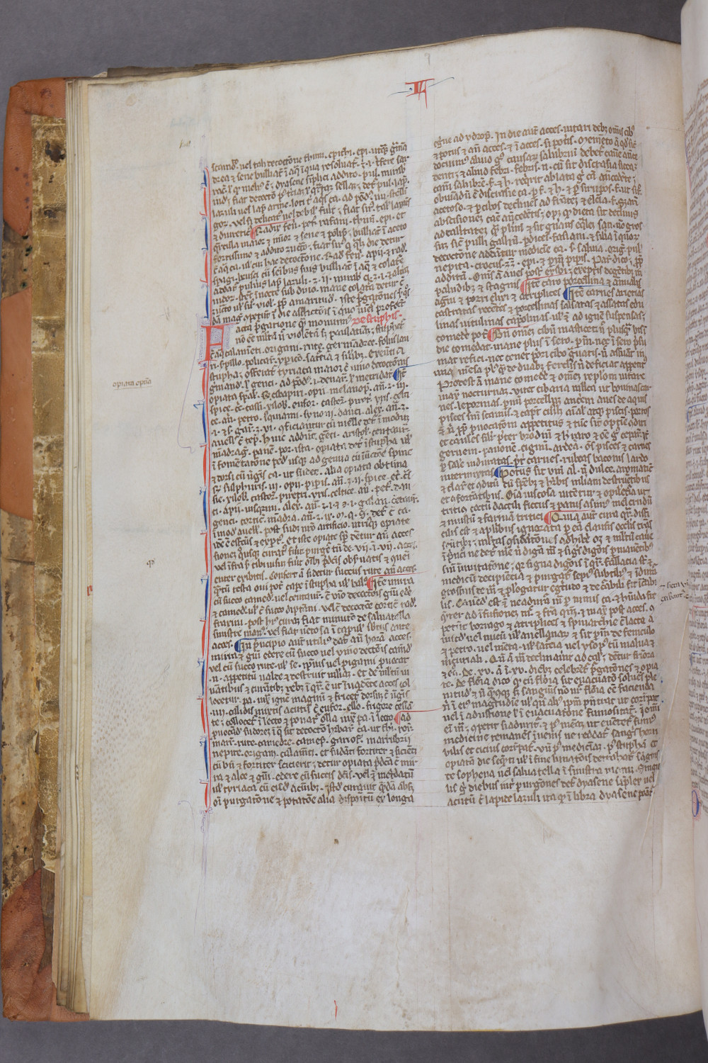 Folio 19 verso